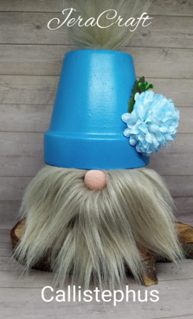 callistephus